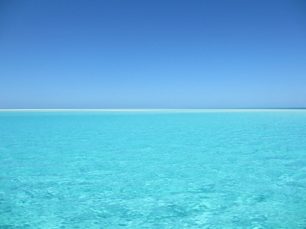 Blue Ocean Strategy